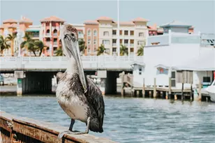 7270 Saona CT, Naples, FL 34113 - Photo 49