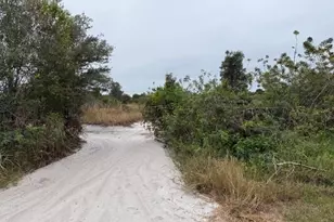 64th Ave NE, Naples, FL 34120 - Photo 3