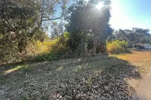 13901 Nassau Dr, Fort Myers, FL 33905 - Photo 1