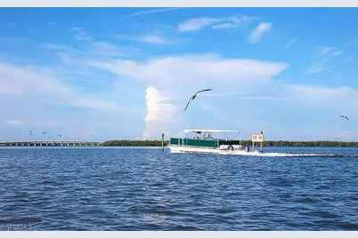 24340 Woodsage Dr, Bonita Springs, FL 34134 - Photo 39