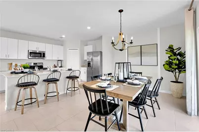 45043 Pipevine Cir, Babcock Ranch, FL 33982 - Photo 9