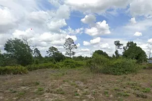 504 Irving Ave, Lehigh Acres, FL 33972 - Photo 1