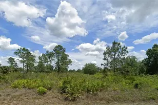 520 Wellington Ave, Lehigh Acres, FL 33972 - Photo 1