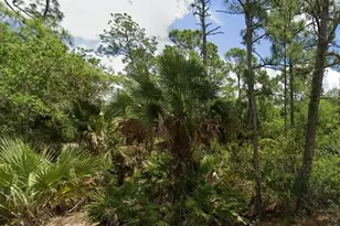 720 Louis Ave, Lehigh Acres, FL 33972 - Photo 1