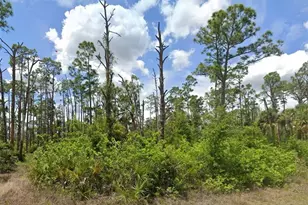 709 Monroe Ave, Lehigh Acres, FL 33972 - Photo 1