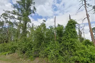 704 Wellington Ave, Lehigh Acres, FL 33972 - Photo 1