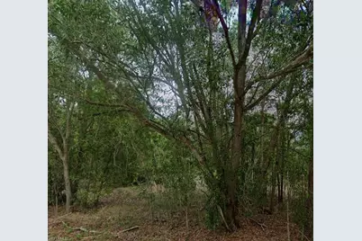 118 Johns Ave, Lehigh Acres, FL 33936 - Photo 1