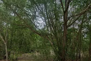 118 Johns Ave, Lehigh Acres, FL 33936 - Photo 1