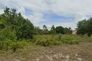 312 Wells Ave, Lehigh Acres, FL 33936 - Photo 1