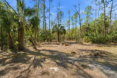 4380 2nd Ave NE, Naples, FL 34120 - Photo 35