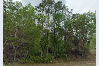 311 Monroe Ave, Lehigh Acres, FL 33936 - Photo 1