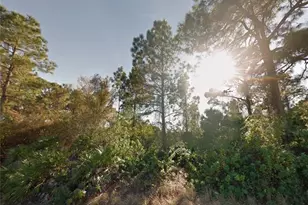 842 Geneva St, Lehigh Acres, FL 33974 - Photo 1