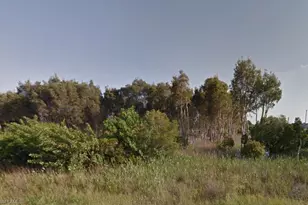 809 Alamo St E, Lehigh Acres, FL 33974 - Photo 1