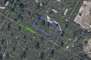 1424 Doolittle St, Lake Placid, FL 33852 - Photo 1