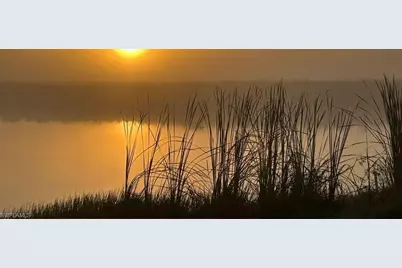 16753 Rolling Rock Blvd, Alva, FL 33920 - Photo 21