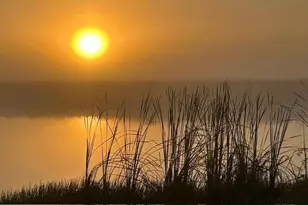 16753 Rolling Rock Blvd, Alva, FL 33920 - Photo 21