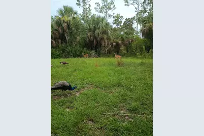 630 Pioneer Trl, Naples, FL 34117 - Photo 11