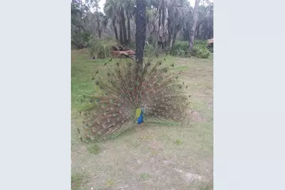 630 Pioneer Trl, Naples, FL 34117 - Photo 15