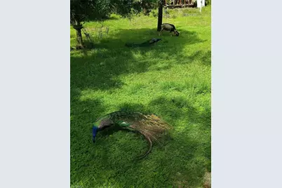 630 Pioneer Trl, Naples, FL 34117 - Photo 13