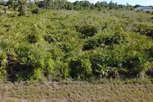 15 W 13th St, Lehigh Acres, FL 33972 - Photo 3