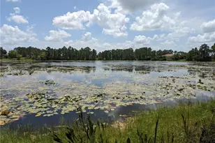 1045 Marathon Ave S, Lehigh Acres, FL 33974 - Photo 3