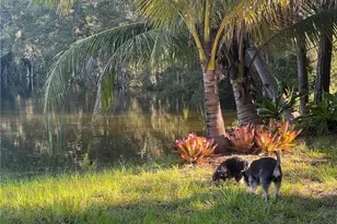 10071 Strike Ln, Bonita Springs, FL 34135 - Photo 35