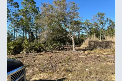 314 Spokane Ave, Lehigh Acres, FL 33972 - Photo 3