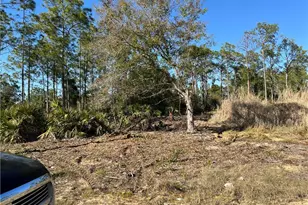 314 Spokane Ave, Lehigh Acres, FL 33972 - Photo 3