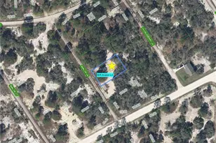 605 Avalon Ln, Lake Placid, FL 33852 - Photo 1