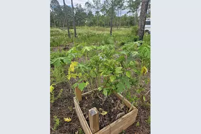 5833 Stewart Ln, Labelle, FL 33935 - Photo 7