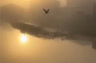 5114 Penella Ave, Ave Maria, FL 34142 - Photo 33