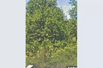 2601 54th St W, Lehigh Acres, FL 33971 - Photo 3