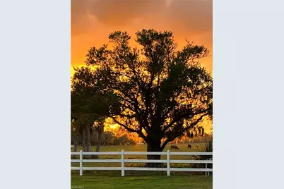 8201 Dosonte Ln, North Fort Myers, FL 33917 - Photo 7