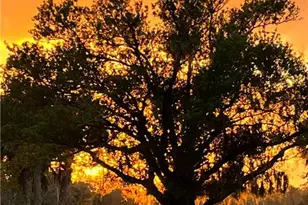 8201 Dosonte Ln, North Fort Myers, FL 33917 - Photo 7