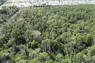 4800 Dor Lee Ln, North Fort Myers, FL 33917 - Photo 3