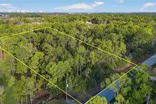 25210 Papillion Dr, Bonita Springs, FL 34135 - Photo 9