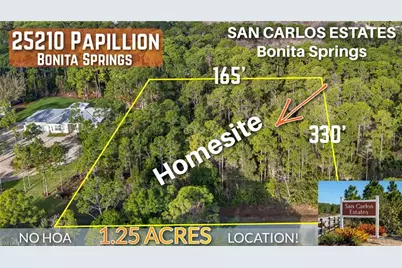 25210 Papillion Dr, Bonita Springs, FL 34135 - Photo 1