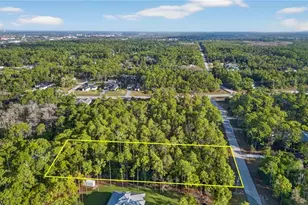 25210 Papillion Dr, Bonita Springs, FL 34135 - Photo 5