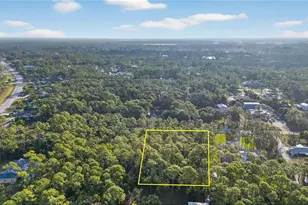 25210 Papillion Dr, Bonita Springs, FL 34135 - Photo 11