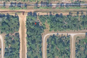 332 Tyrone Ave, Lehigh Acres, FL 33972 - Photo 1