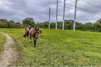 0000 Cutting Horse Ln, Bonita Springs, FL 34135 - Photo 11