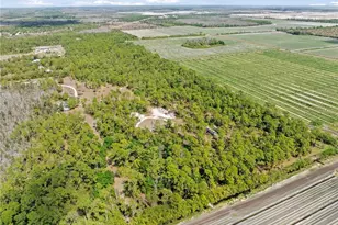 20601 Estero Pines Rd, Estero, FL 33928 - Photo 7