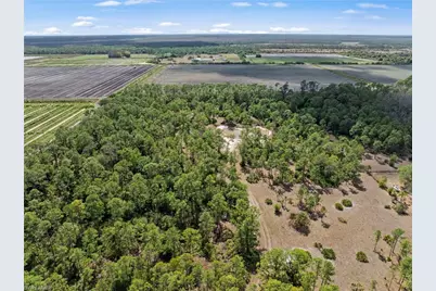 20601 Estero Pines Rd, Estero, FL 33928 - Photo 5