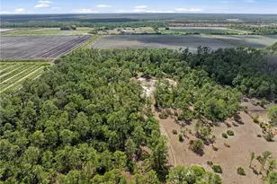 20601 Estero Pines Rd, Estero, FL 33928 - Photo 5