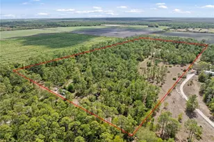 20601 Estero Pines Rd, Estero, FL 33928 - Photo 1