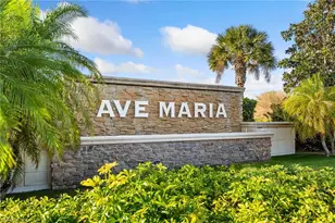 5053 Arancia Ln, Ave Maria, FL 34142 - Photo 27
