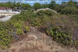 1606 W 11th St, Lehigh Acres, FL 33972 - Photo 3