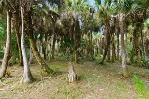 181 35th Ave NE, Naples, FL 34120 - Photo 35