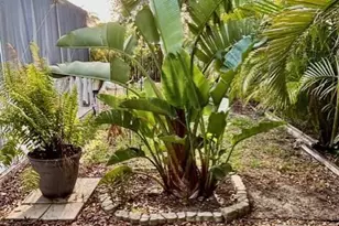 1113 NE 32nd St, Cape Coral, FL 33909 - Photo 9