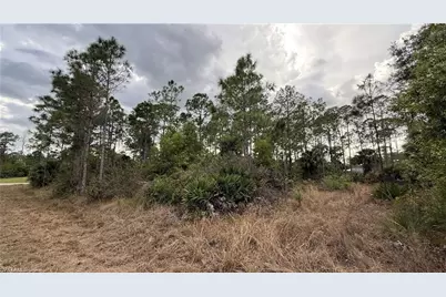 1103 Magnolia Ave, Lehigh Acres, FL 33972 - Photo 3